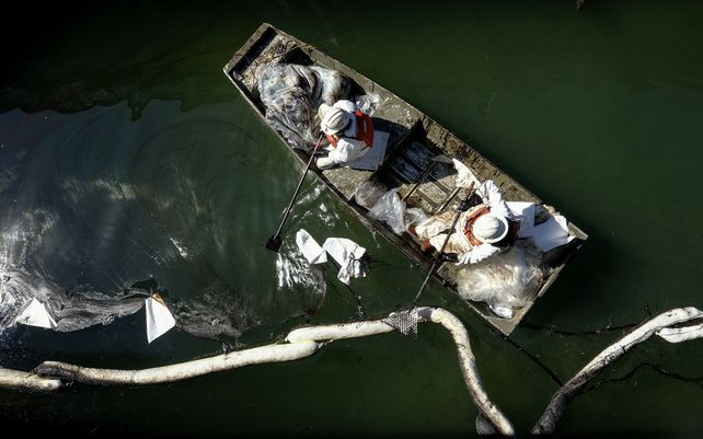 Trabajadores limpian aceite en una entrada que conduce a los humedales Talbert Marsh después de un derrame de petróleo en Huntington Beach, California. Un gran derrame de petróleo frente a la costa del sur de California contaminó playas y mató vida silvestre.