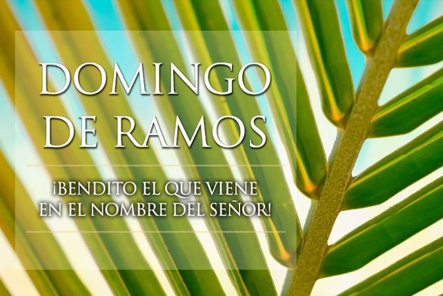 Se celebra el Domingo de Ramos