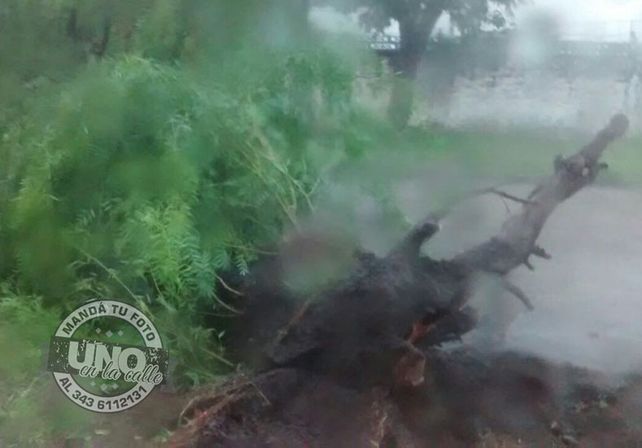 Terrible temporal de lluvia y viento generó graves destrozos en Paraná