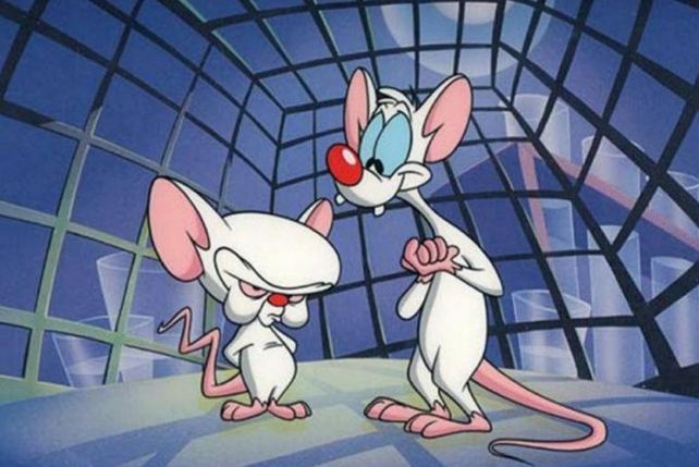 Pinky era en realidad el genio en Pinky y Cerebro. Siempre sabía cómo iba a fallar el plan de Cerebro y además