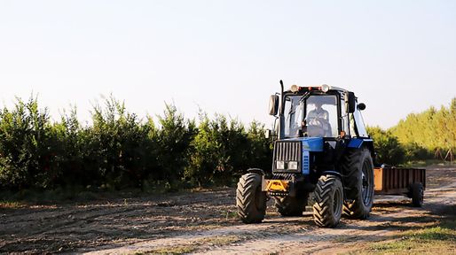 El agro argentino inicia agosto con señales de recuperación, pero persisten costos, clima y dudas