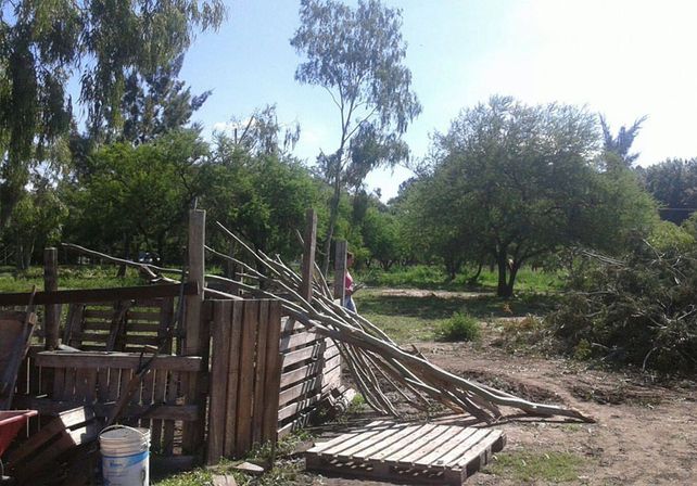Manos. Pagani aseguró que los techos de los boxes se aflojaron y necesitan colaboración para reforzarlos.