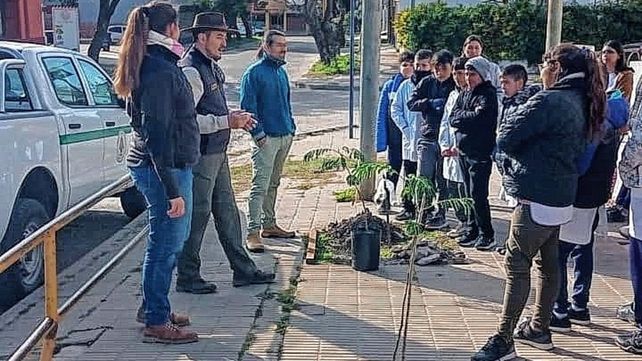 Diamante: alumnos de 6º grado plantaron ejemplares de Timbó
