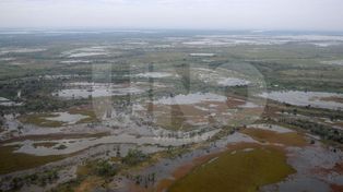 Declaran sitio protegido a islas y humedales de Santa Fe y Entre Ríos