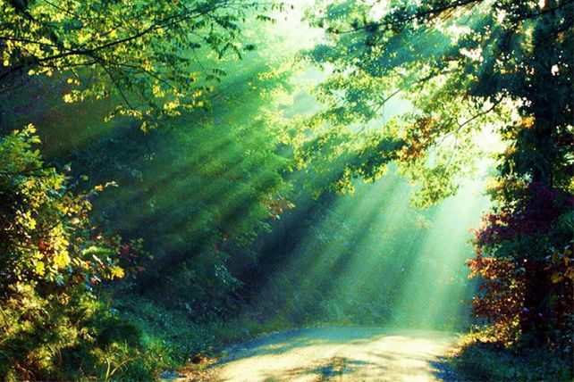 La influencia de los elementos en las energías de cada signo