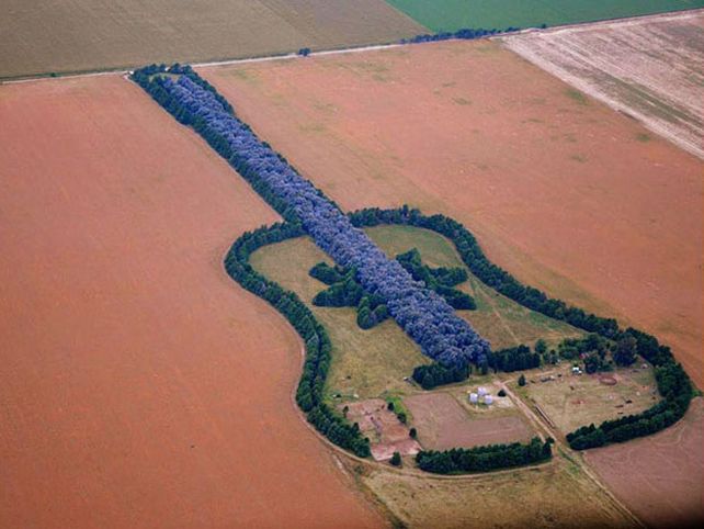 La guitarra del amor