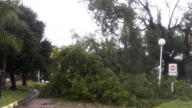 El frente de tormenta advertido con un alerta para Entre Ríos desde el SMN también afectó a la localidad de Seguí&nbsp;