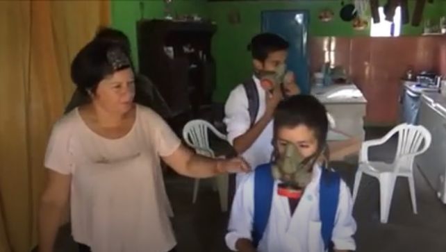 Otra escuela fumigada: Han muerto peces, aves y los próximos muertos seremos nosotros
