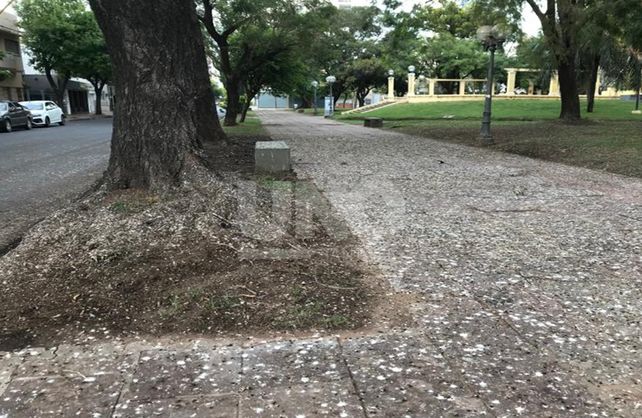 Santiago del Estero y 4 de Enero. Así lucía la esquina en abril del año pasado.&nbsp;