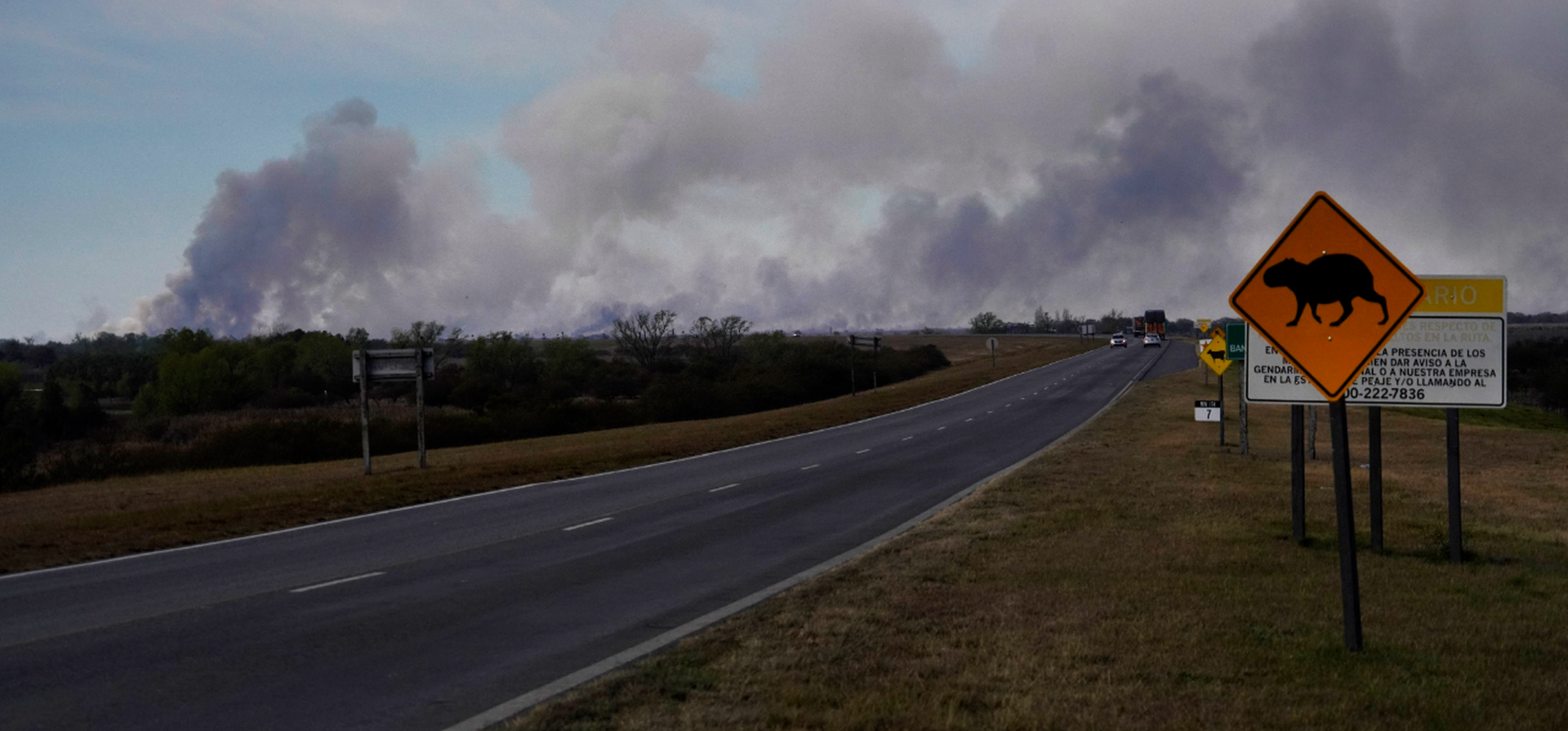 Incendios en las islas: Los procesados son todos perejiles