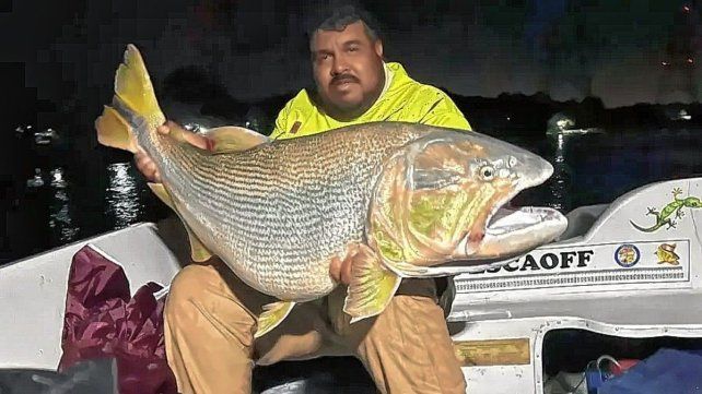 Pesca récord en el Paraná: capturan un dorado de casi 30 kilos frente a Corrientes.
