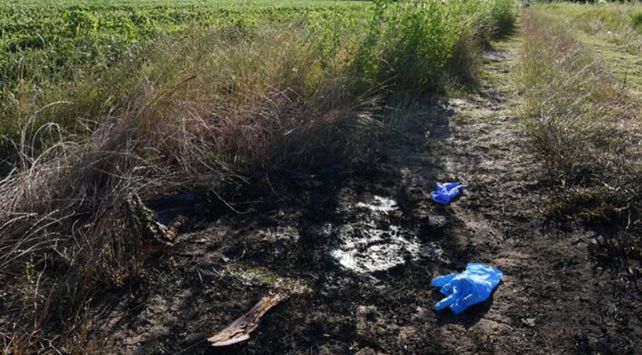 La Capital de Rosario.