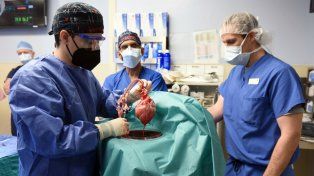 Trasplantaron por primera vez el corazón de un cerdo a un paciente humano