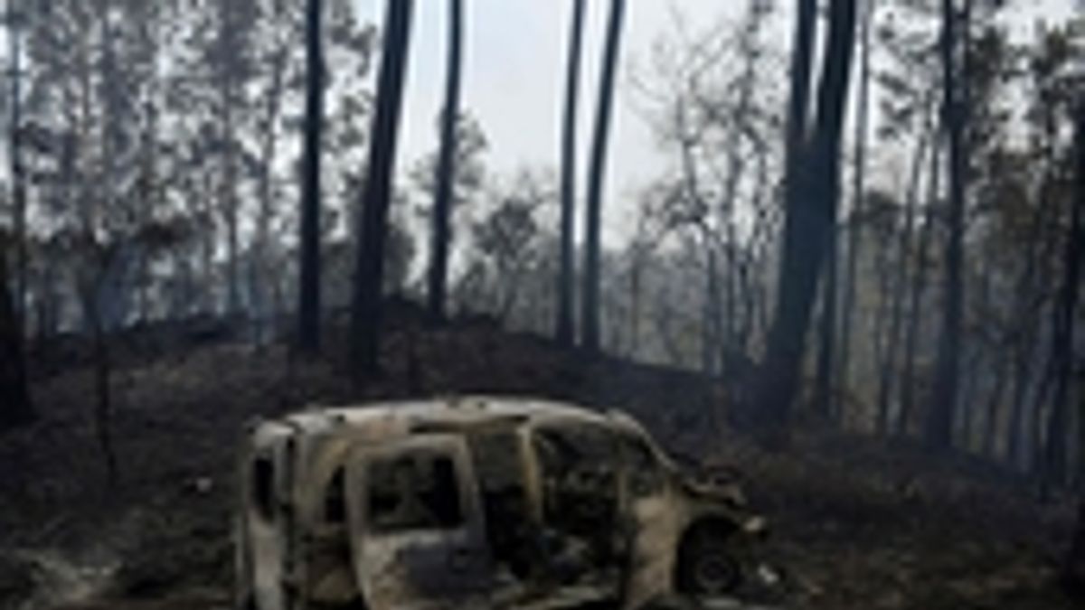 Al menos 35 muertos en incendios en Portugal y España