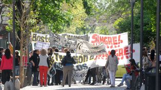 SOS Caballos reclamó frente a los Tribunales
