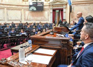 El Senado se prepara para rechazar el veto a los ATN