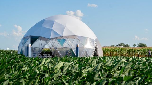Expoagro será escenario del regreso de NK al mercado argentino 
