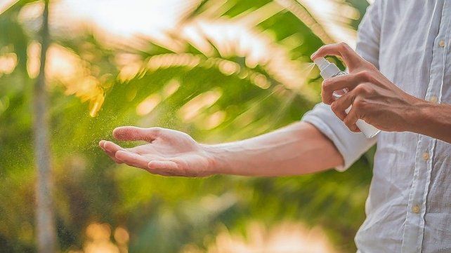 Cómo cuidarse contra los mosquitos
