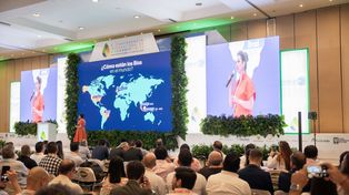 Latinoamérica apuesta por los biocombustibles como solución climática inmediata