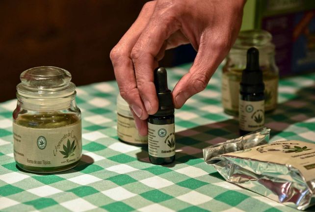 Aprobado. El uso del aceite de cannabis fue analizado por especialistas.