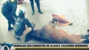 Este video muestra la muerte del caballo a manos de barras