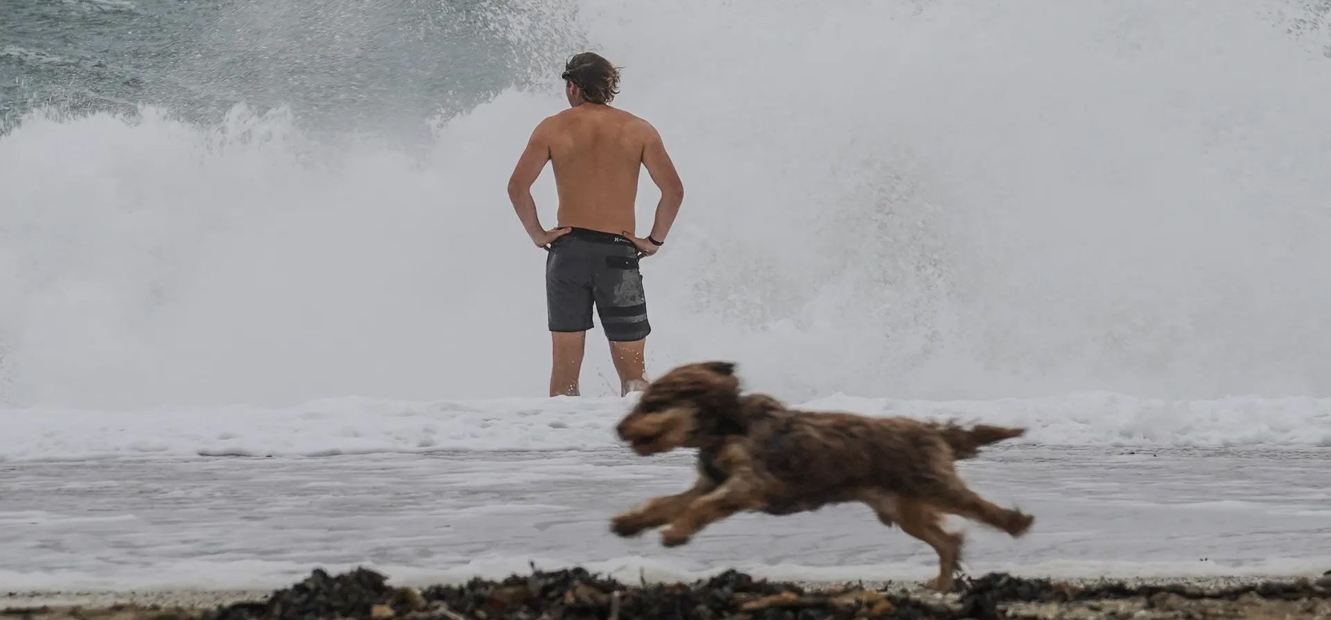 Falmouth, Reino Unido. Un nadador se abre paso entre las olas para darse un chapuzón matutino en el mar embravecido en la playa de Gyllyngvase mientras los fuertes vientos azotan la costa de Cornualles. Fotografía: Hugh R Hastings/Getty Images Falmouth, Reino Unido. Un nadador se abre paso entre las olas para darse un chapuzón matutino en el mar embravecido en la playa de Gyllyngvase mientras los fuertes vientos azotan la costa de Cornualles. Fotografía: Hugh R Hastings/Getty Images