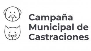 &nbsp;Con dos puestos móviles, la Campaña Municipal de Castraciones continúa recorriendo la ciudad de Santo Tomé&nbsp;