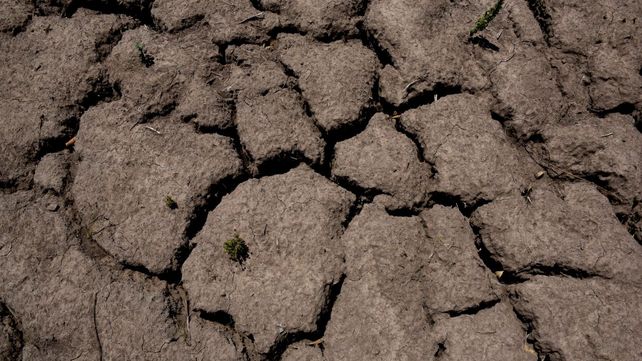 La Niña acecha a la nueva campaña de granos gruesos