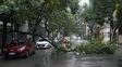 La tormenta en Rosario dejó más de 50 reclamos y ráfagas de vientos de 80 kilómetros por hora
