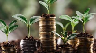 ¿Puede Argentina ser el próximo líder en mercados de créditos de carbono?