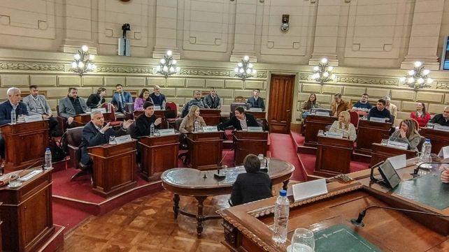 La Convención ingresa en un momento clave: la etapa de elaboración de dictámenes. 