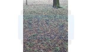 Granizo causó daños en Merou e inmediaciones