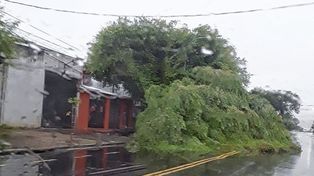 Consecuencias del fuerte temporal en Paraná y alrededores
