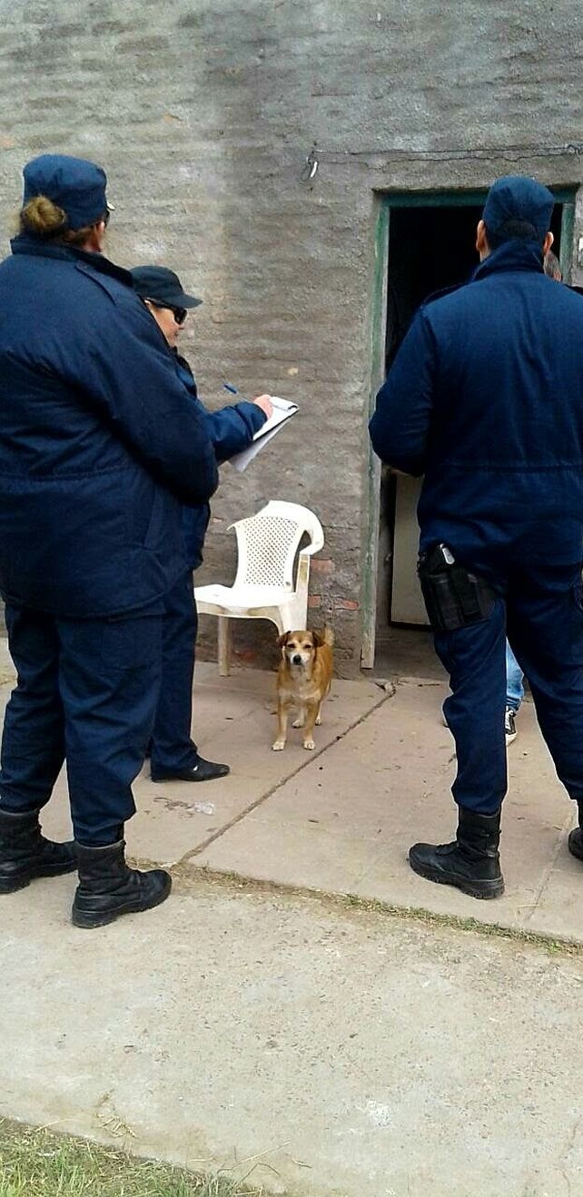 Una madre denunció a su hijo de 12 años por robos y lesiones a otro menor Una madre denunció a su hijo de 12 años por robos y lesiones a otro menor