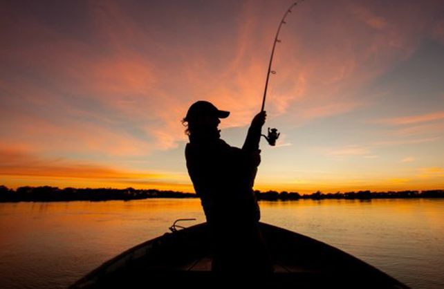 Imagen ilustrativavisibility