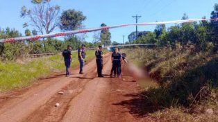 Un policía retirado de Misiones murió tras ser atacado por dos pitbull