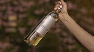 Día Internacional del Riesling: el vino mendocino que fue elegido entre los mejores dulces del mundo