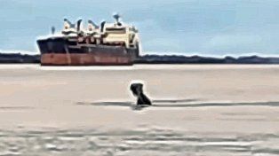 La misteriosa silueta oscura en el río Paraná que causa controversia.