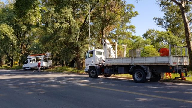Las cuadrillas de municipales trabajando en avenida Almafuerte.&nbsp;