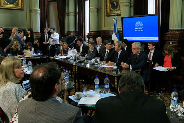Sigue el debate por Ganancias en el Senado y podría haber más de un dictamen