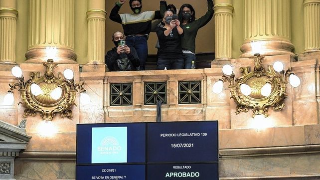 El Senado aprobó el marco regulatorio de producción de cannabis medicinal