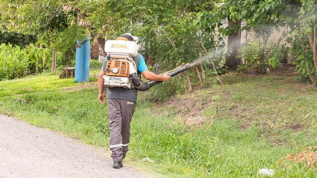 Piden reforzar recomendaciones para prevenir casos de dengue en Argentina