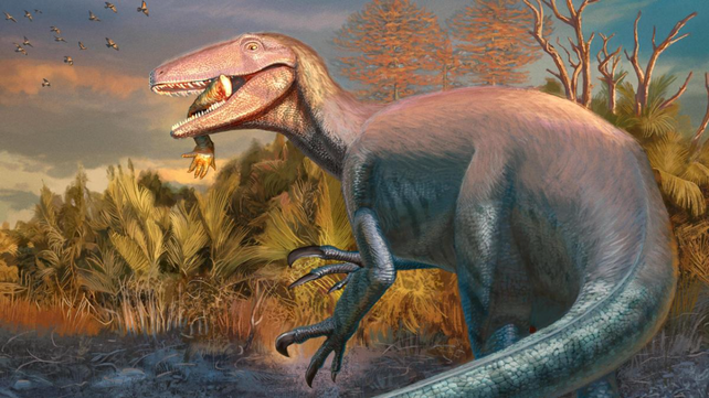 La sorprendente especie que fue hallada en Chubut