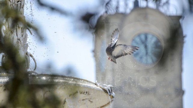 SMN: Esperan una semana con altas temperaturas en la región