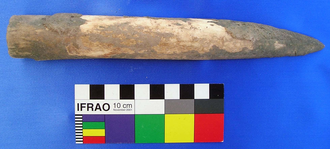 La punta de lanza hallada data de miles de años y fue utilizado por los aborígenes del lugar.