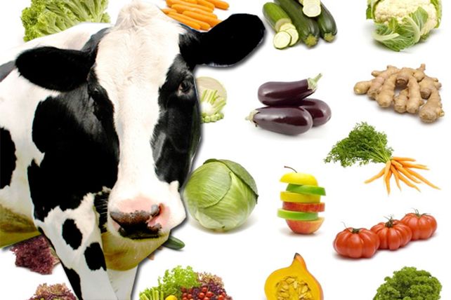 Flexitarianos: la moda de los vegetarianos part time