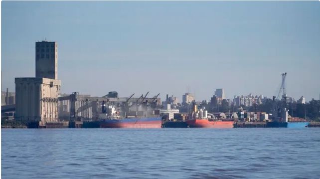 Los complejos agro vieron crecer sus exportaciones cerca de un 8