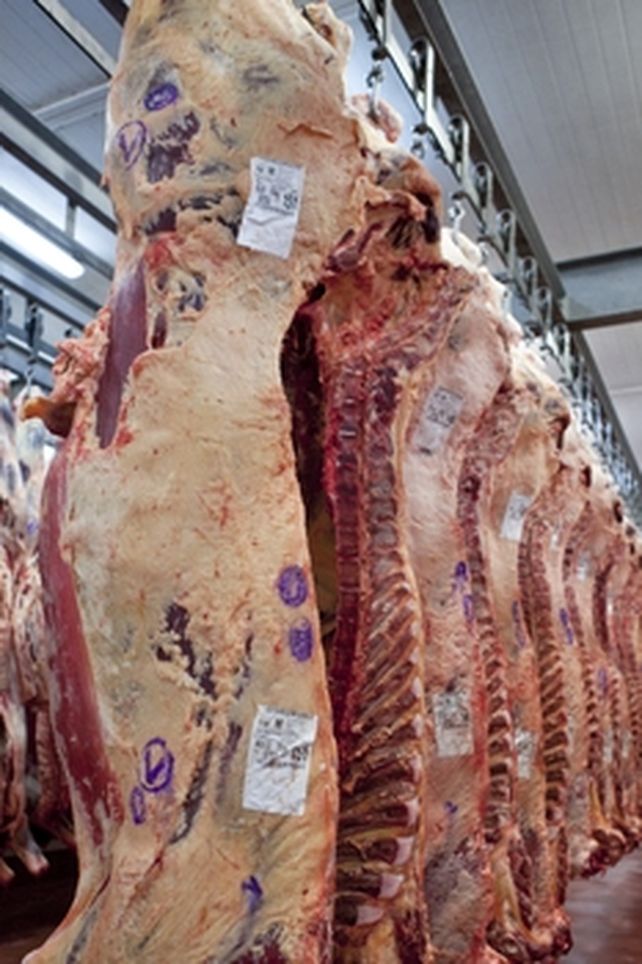 La cadena de ganados y carne estuvo a la altura de las circunstancias en la cuarentena&rdquo;.