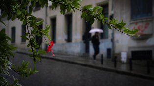 El tiempo en Rosario: martes con alerta amarillo por tormentas fuertes