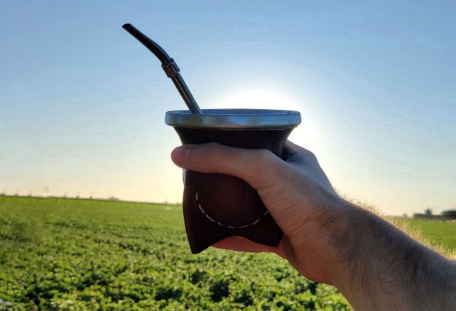Una bebida típica de la Argentina